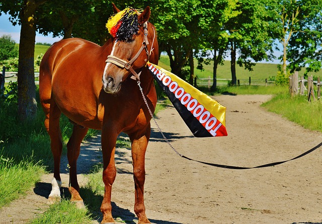 英超俱乐部 英超俱乐部