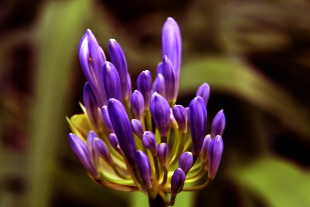 CBA：锁定季后赛 青岛国信制药男篮107-94吉林九台农商银行男篮.