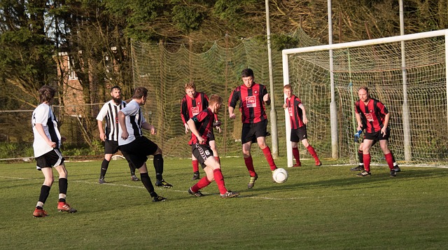 昔日光辉的 昔日光辉的