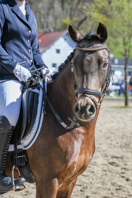 经建立起了 经建立起了